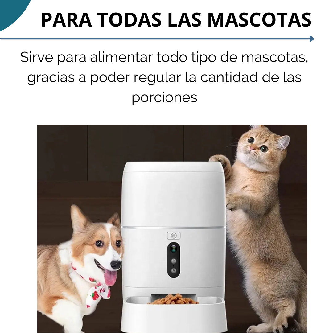 Alimentador Para Mascotas Inteligente Wifi - Image 4