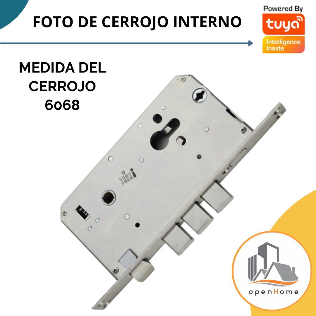 Cerradura Inteligente Wifi Exterior H20P s/f Sin Pestillo Cerrojo Automatico - Image 8