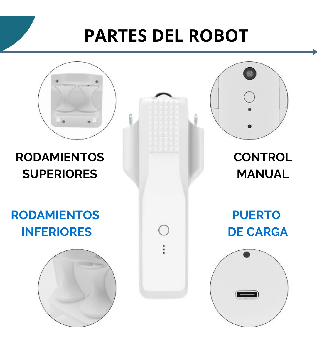 Robot Para Cortina De Palo Romano Wifi - Image 4